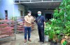 Khảo sát thu thập thông tin nghề truyền thống về cây hương liệu ở Quảng Nam