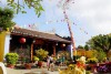 Apricot Blossom During Tết and Folk Beliefs in Hội...