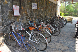 Hưởng ứng Cuộc vận động “Sử dụng phương tiện xe đạp  khi tham gia giao thông trên địa bàn thành phố”