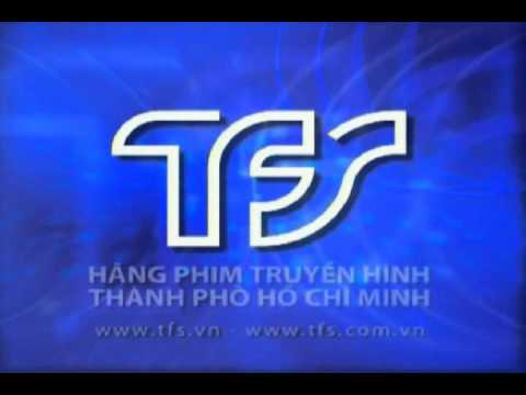 Hãng phim truyền hình Thành phố Hồ Chí Minh (TFS)